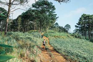 BIB: 
                            <button type="button" onclick="openModal(25654394)" class="btn btn-primary btn-sm float-right btn-popup" data-toggle="modal" data-target=".modal-high-quality">
                        <i class="fas fa-shopping-cart"></i> Add to Cart
                    </button>
                                            <button type="button" onclick="isThisMe(25654394, true)" class="btn btn-success btn-sm float-right btn-popup btn-isme hidden" data-toggle="tooltip" data-placement="bottom" title="นี่คือรูปของคุณใช่ไหม คลิกที่นี่เพื่อเอาเข้าอัลบั้ม">
                        <i class="fas fa-plus"></i> Add to album
                    </button>
                    <button type="button" onclick="isThisMe(25654394, false)" class="btn btn-warning btn-sm float-right btn-popup btn-isnotme hidden">
                        <i class="fas fa-ban"></i> Remove from album
                    </button>